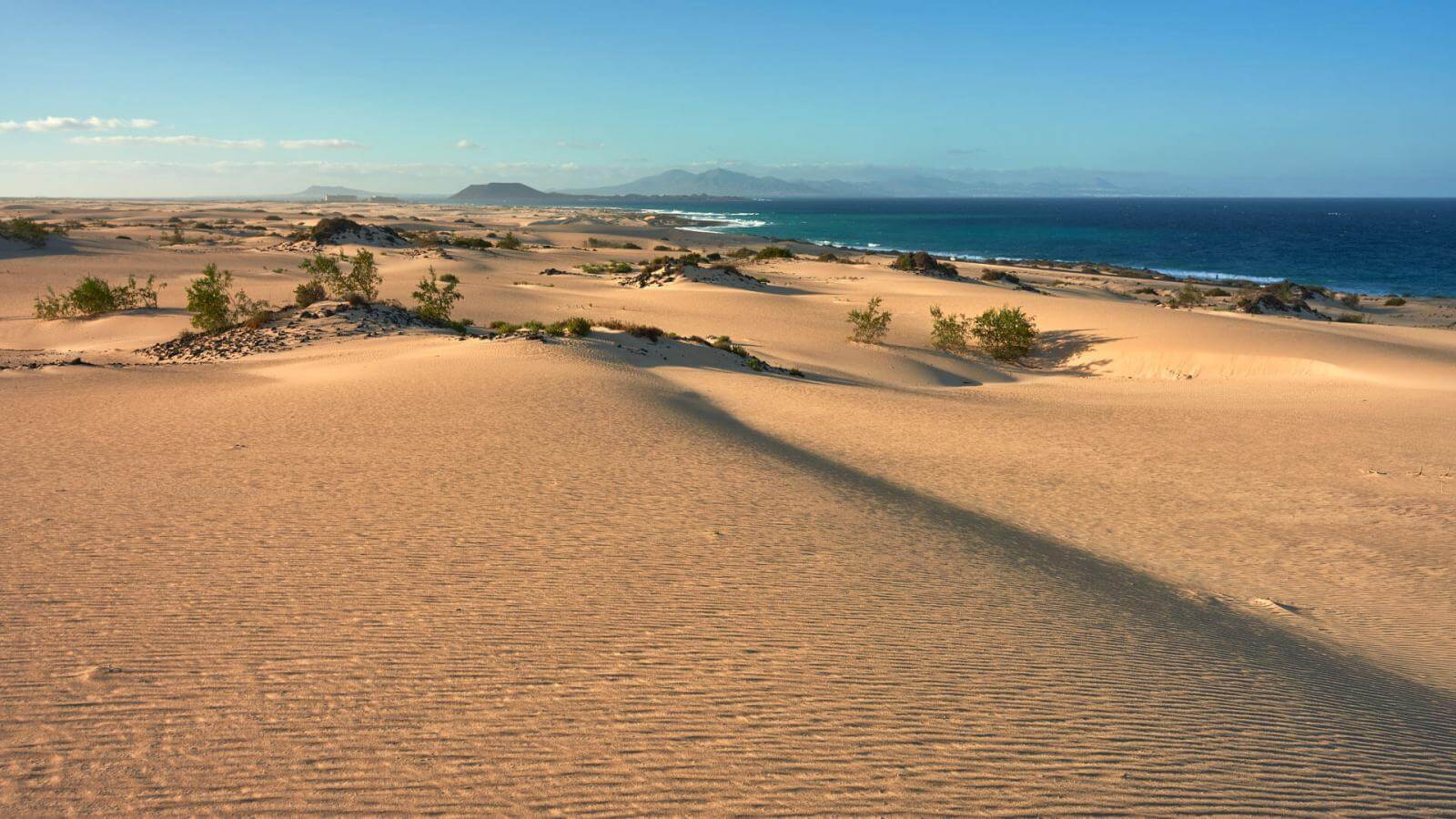 Costa norte de Fuerteventura, Origo Mare